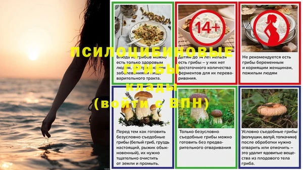 твердый Дмитров