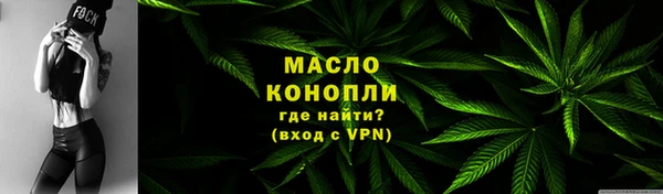 твердый Дмитров