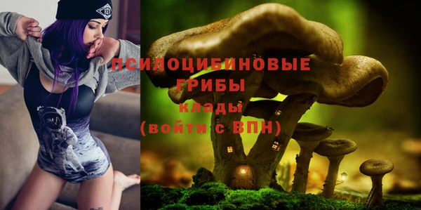 a pvp Дмитриев