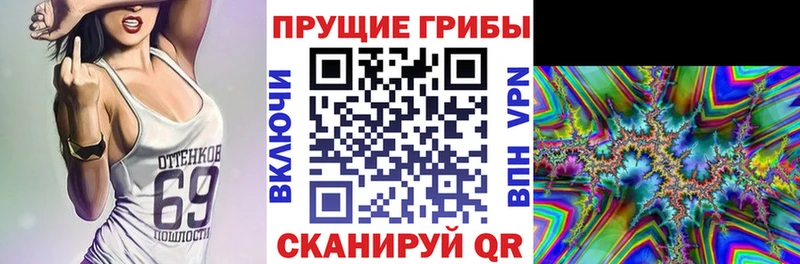 Купить  Павловск  Псилоцибиновые грибы мицелий 